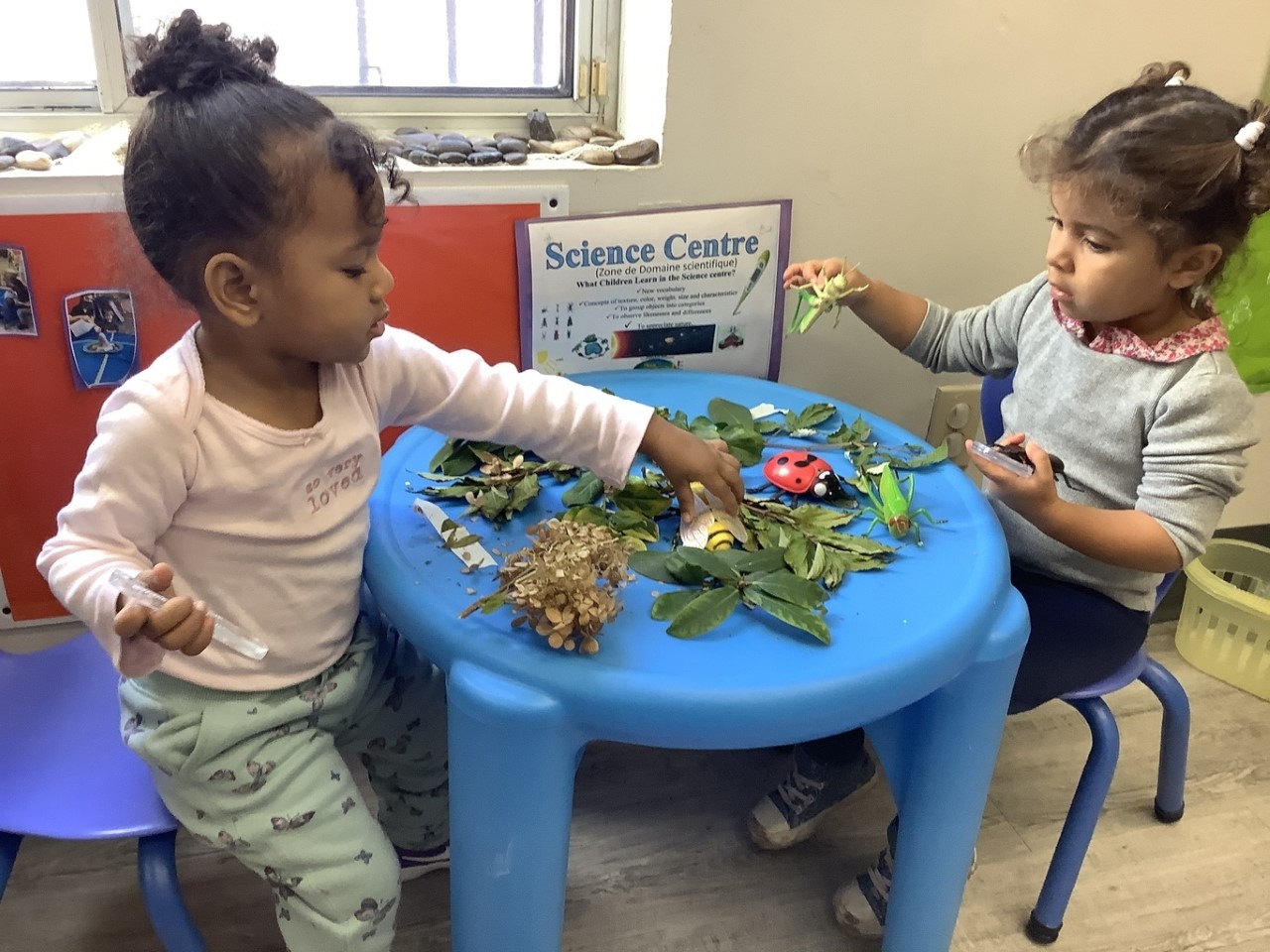 Balvatika Neev International Preschool, Baddi