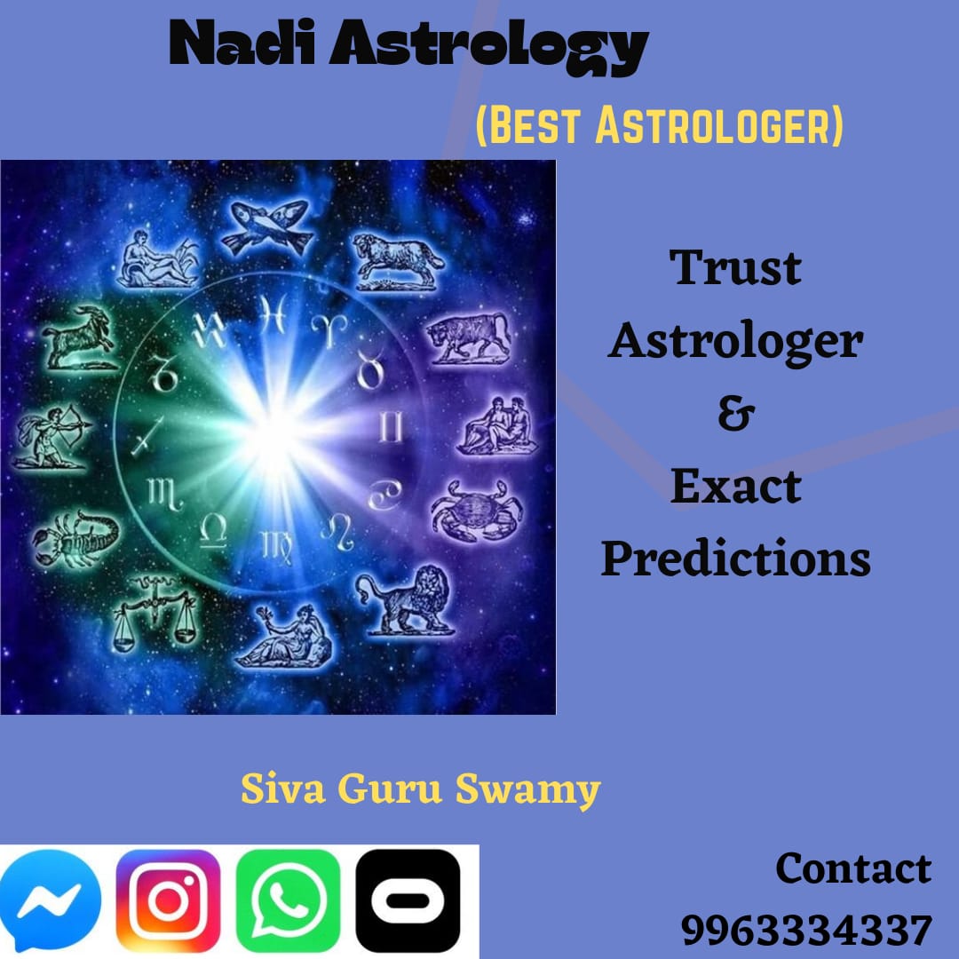 Nadi Astrology Online Prediction logo