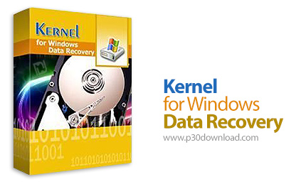 Kernel Data Recovery