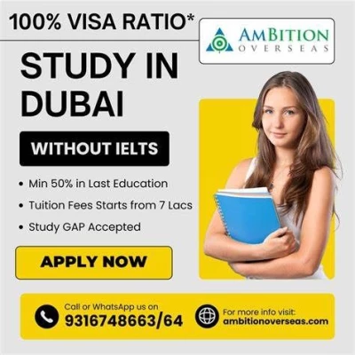 Ambition Overseas, Gurgaon