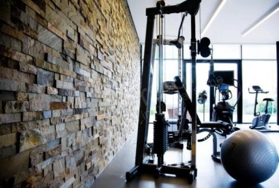 Stone Gym