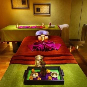 Spa Hibiscus Zirakpur