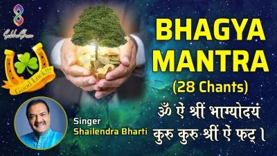 Bhagya Mantra Astrology and Vastu Solutions