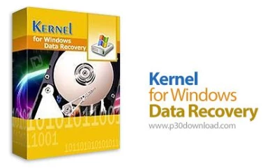 Kernel Data Recovery