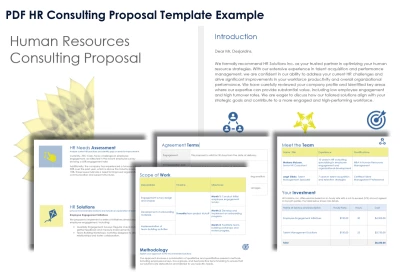 Anticipate HR Consultant