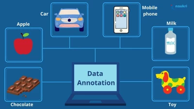 DataAnnotation, Meerut