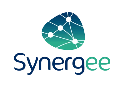 Synergee Assets Recovery