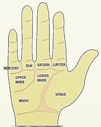 BSS Astrology Services. Sector-105, Noida