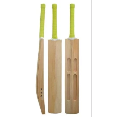 Tecno Bell Sportz India