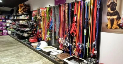 My Pets Mart, Chandigarh