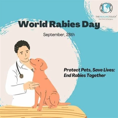 The Healing Touch Pet Clinic & Surgery, Chandigarh