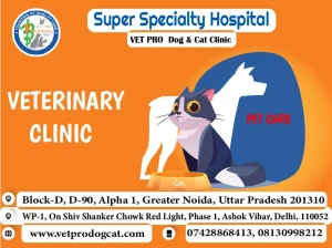 Mercy Pet Care Centre