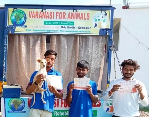 All India Animals Care Society