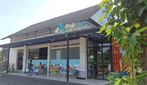 Felican Pet Hospital