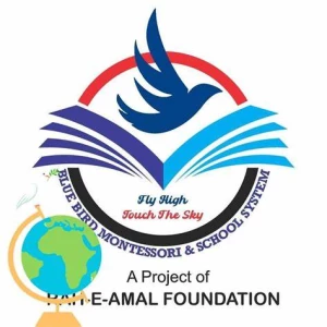 Blue Bird Immigratio&Education Services, Chandigarh logo