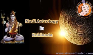 Mr. Ashok Shrimali logo