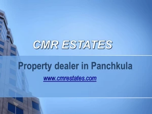 CMR Estate Sector 20, Panchkula
