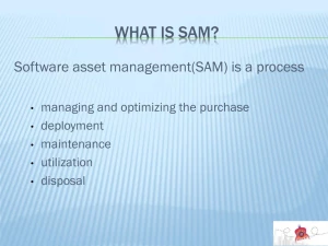 SAM Info Systems logo