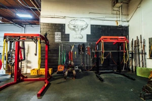 The Ultimate Gym logo