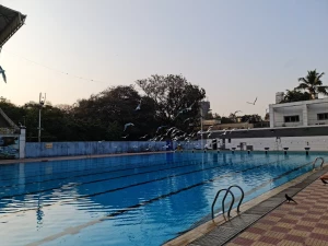 Mahatma Gandhi Memorial Swimming Pool, Mumbai logo