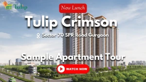 Tulip Crimson, Sector-70, Gurgaon logo