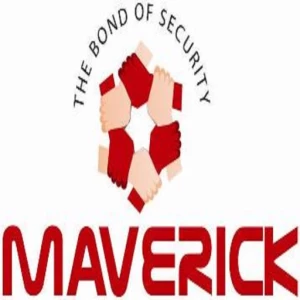 Maverick Share Brokers Limited logo
