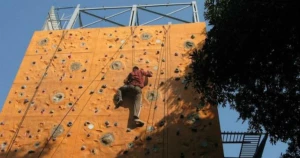 Indian Mountaineering Foundation logo