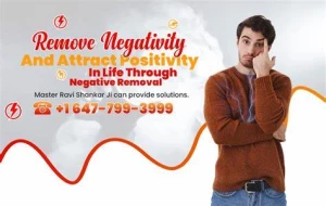 Astrologer Ravi Shankar, Kalkaji, New Delhi logo