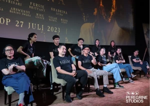 Peregrine Studios Llp logo