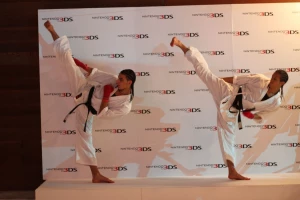 Universal Martial Arts, Chnadigarh logo