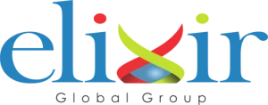 Elixir Global Solutions, Sector-20, Panchkula logo