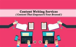 Writeshack Content Writing Solutions, Delhi