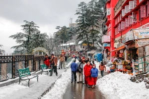 Shimla Tour Package for 2 Nights 3 Days, Chandigarh logo