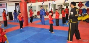 Master Bikram's Martial Art Academy, Panchkula logo