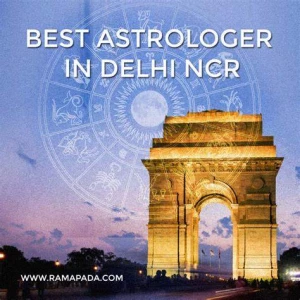 Best Astrologer Delhi, East Patel nagar, Delhi logo