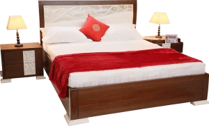 Dream Home Store in Chandigarh logo