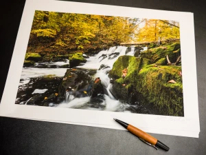 Fine Art Printing Classes logo