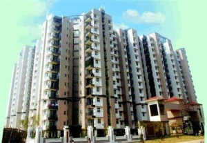 Collection Realty Pvt Ltd Noida , Delhi NCR India logo