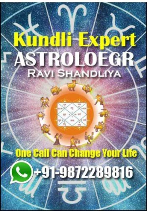 Astrologer Solution Specialist