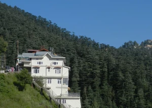 Dudhli, Shimla logo