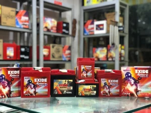 Aar Ess Automobiles, Mohali logo