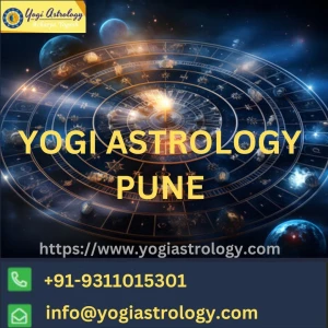 Mr yogi astrologer, Delhi logo