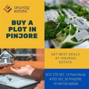 Anurag Estate, Sector-14, Panchkula