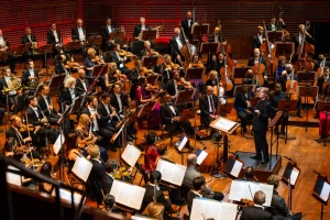 Musical Life, Chandigarh logo