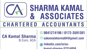 D.M. Sharma Chartered Accountant, Chandigarh logo