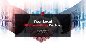 SynerPeak HR Consultants, Patiala