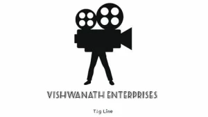 VISHWANATH ENTERPRISES, Chnadigarh logo