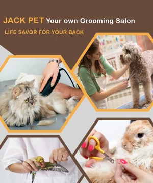 Pet Grooming Home Service, Chandigarh logo