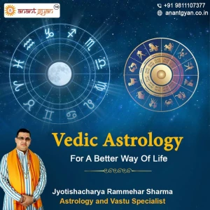 Astrologer Noida, Sector-15, Noida logo