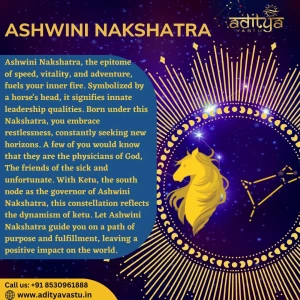 Aditya Astrology logo